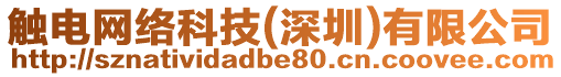 觸電網(wǎng)絡(luò)科技(深圳)有限公司