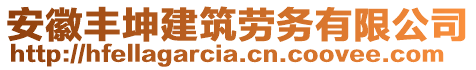 安徽豐坤建筑勞務(wù)有限公司