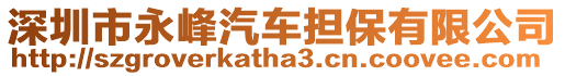 深圳市永峰汽車擔(dān)保有限公司