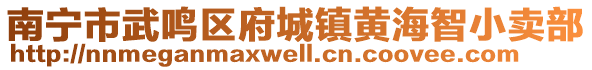 南寧市武鳴區(qū)府城鎮(zhèn)黃海智小賣部