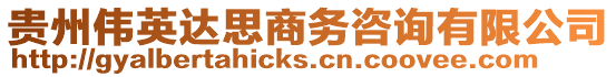 貴州偉英達(dá)思商務(wù)咨詢有限公司