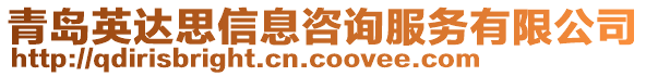 青島英達(dá)思信息咨詢服務(wù)有限公司