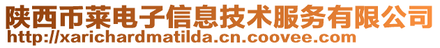 陜西幣萊電子信息技術(shù)服務(wù)有限公司