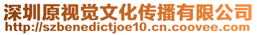 深圳原視覺文化傳播有限公司