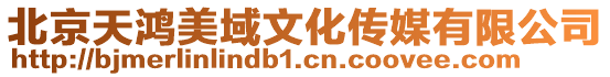 北京天鴻美域文化傳媒有限公司