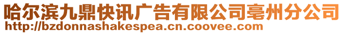 哈爾濱九鼎快訊廣告有限公司亳州分公司