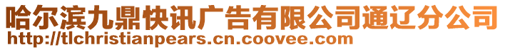 哈爾濱九鼎快訊廣告有限公司通遼分公司