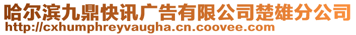 哈爾濱九鼎快訊廣告有限公司楚雄分公司