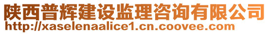 陜西普輝建設(shè)監(jiān)理咨詢(xún)有限公司