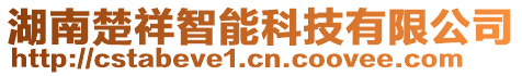 湖南楚祥智能科技有限公司