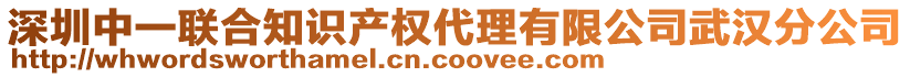 深圳中一聯(lián)合知識產(chǎn)權(quán)代理有限公司武漢分公司