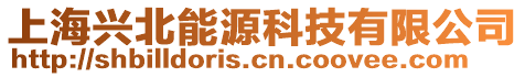 上海興北能源科技有限公司