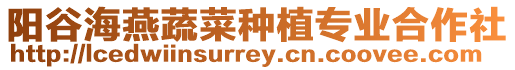 陽谷海燕蔬菜種植專業合作社