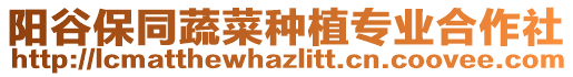 陽谷保同蔬菜種植專業合作社