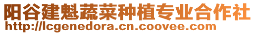 陽谷建魁蔬菜種植專業(yè)合作社
