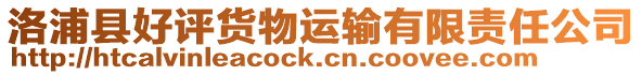 洛浦縣好評(píng)貨物運(yùn)輸有限責(zé)任公司
