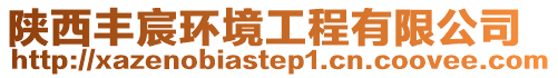陜西豐宸環(huán)境工程有限公司