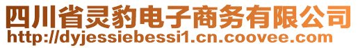 四川省靈豹電子商務(wù)有限公司