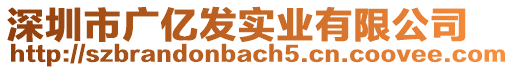 深圳市廣億發(fā)實(shí)業(yè)有限公司