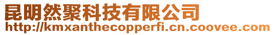 昆明然聚科技有限公司