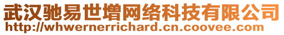 武漢馳易世增網(wǎng)絡(luò)科技有限公司