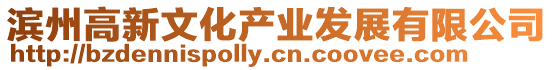 濱州高新文化產(chǎn)業(yè)發(fā)展有限公司