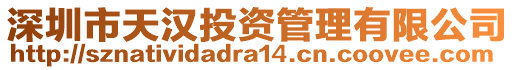 深圳市天漢投資管理有限公司