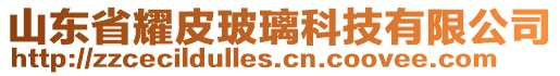 山東省耀皮玻璃科技有限公司