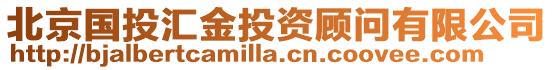 北京國投匯金投資顧問有限公司