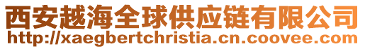 西安越海全球供應鏈有限公司