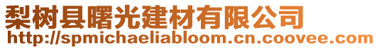 梨樹縣曙光建材有限公司