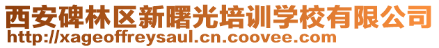 西安碑林區(qū)新曙光培訓學校有限公司