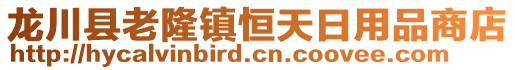 龍川縣老隆鎮恒天日用品商店
