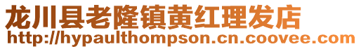 龍川縣老隆鎮(zhèn)黃紅理發(fā)店