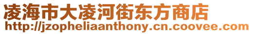 凌海市大凌河街東方商店