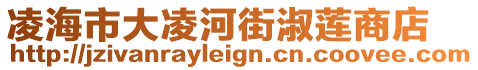 凌海市大凌河街淑蓮商店
