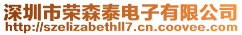 深圳市榮森泰電子有限公司