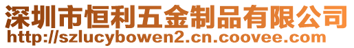 深圳市恒利五金制品有限公司