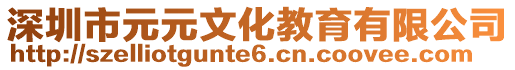 深圳市元元文化教育有限公司