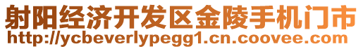 射陽(yáng)經(jīng)濟(jì)開(kāi)發(fā)區(qū)金陵手機(jī)門(mén)市