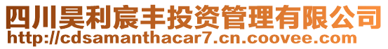 四川昊利宸豐投資管理有限公司