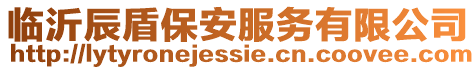 臨沂辰盾保安服務有限公司