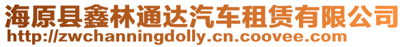 海原縣鑫林通達汽車租賃有限公司