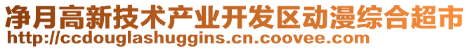 凈月高新技術(shù)產(chǎn)業(yè)開(kāi)發(fā)區(qū)動(dòng)漫綜合超市