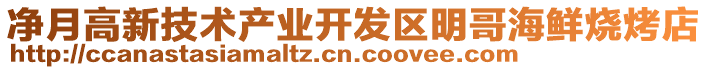 凈月高新技術(shù)產(chǎn)業(yè)開發(fā)區(qū)明哥海鮮燒烤店