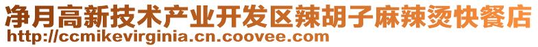 凈月高新技術產(chǎn)業(yè)開發(fā)區(qū)辣胡子麻辣燙快餐店