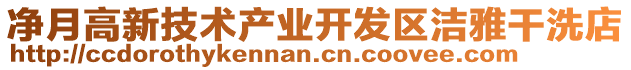 凈月高新技術(shù)產(chǎn)業(yè)開發(fā)區(qū)潔雅干洗店