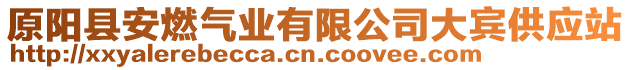 原陽(yáng)縣安燃?xì)鈽I(yè)有限公司大賓供應(yīng)站