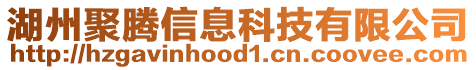 湖州聚騰信息科技有限公司