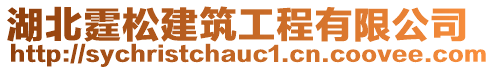 湖北霆松建筑工程有限公司